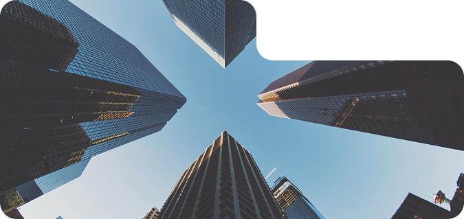 Our Vision